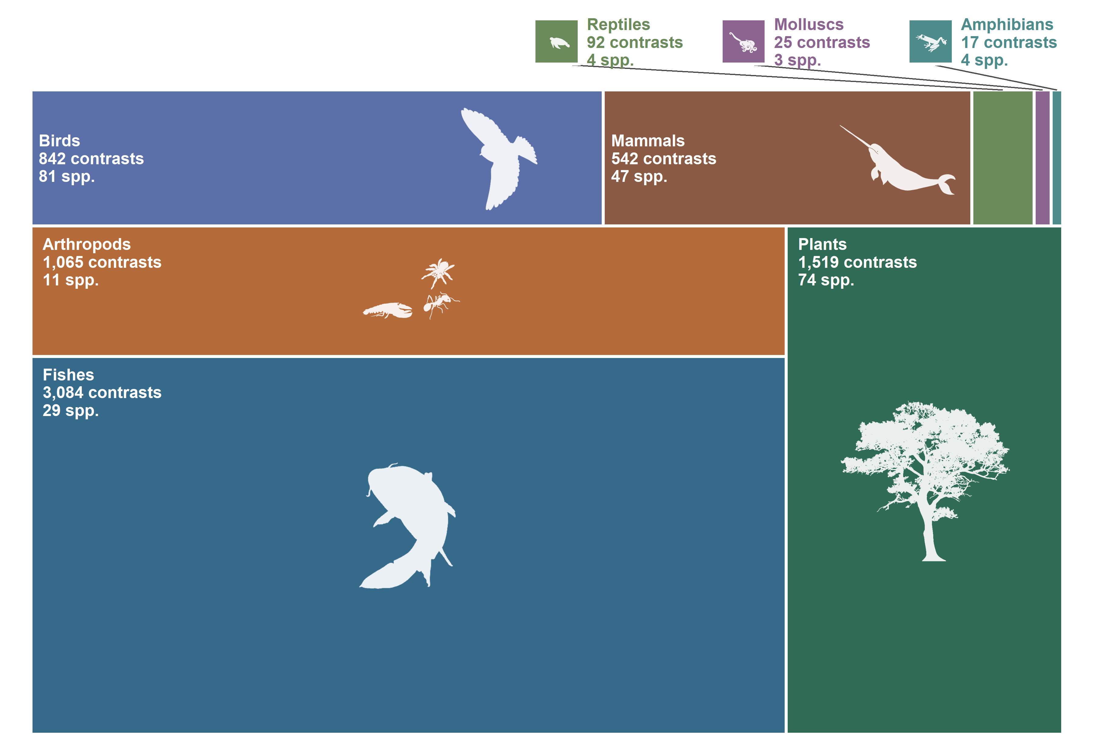 A proportional tile chart of the 7,186 m00 contrasts: fishes 3,084 contrasts (29 species), plants 1,519 (74), arthropods 1,065 (11), birds 842 (81), mammals 542 (47), reptiles 92 (4), molluscs 25 (3), and amphibians 17 (4). Each tile includes a white taxon silhouette; the three smallest groups are labelled above the chart with leader lines.